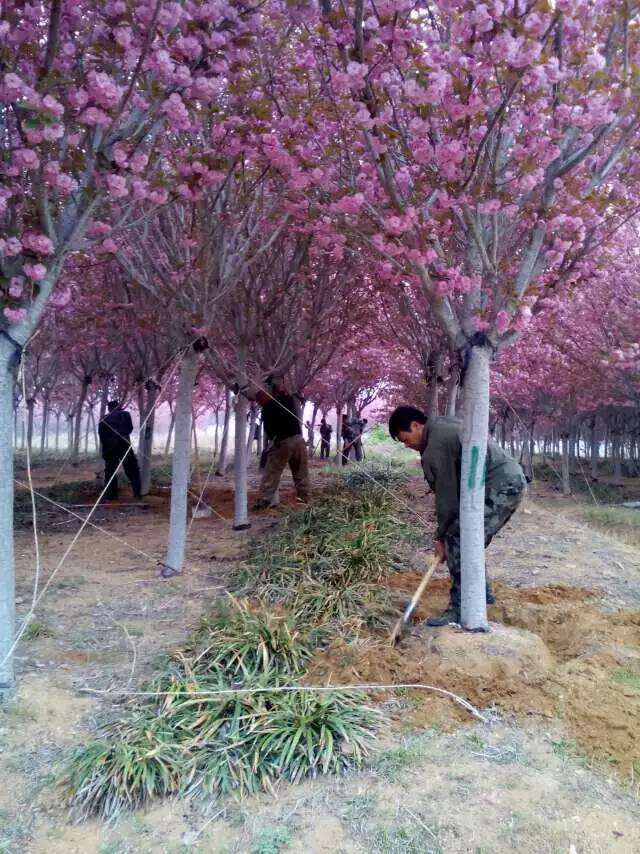 ɽ��ӣ�� 2015051101